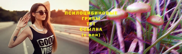 СК Ханты-Мансийск