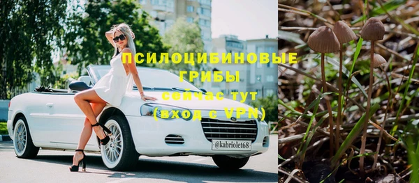 винт Богородск